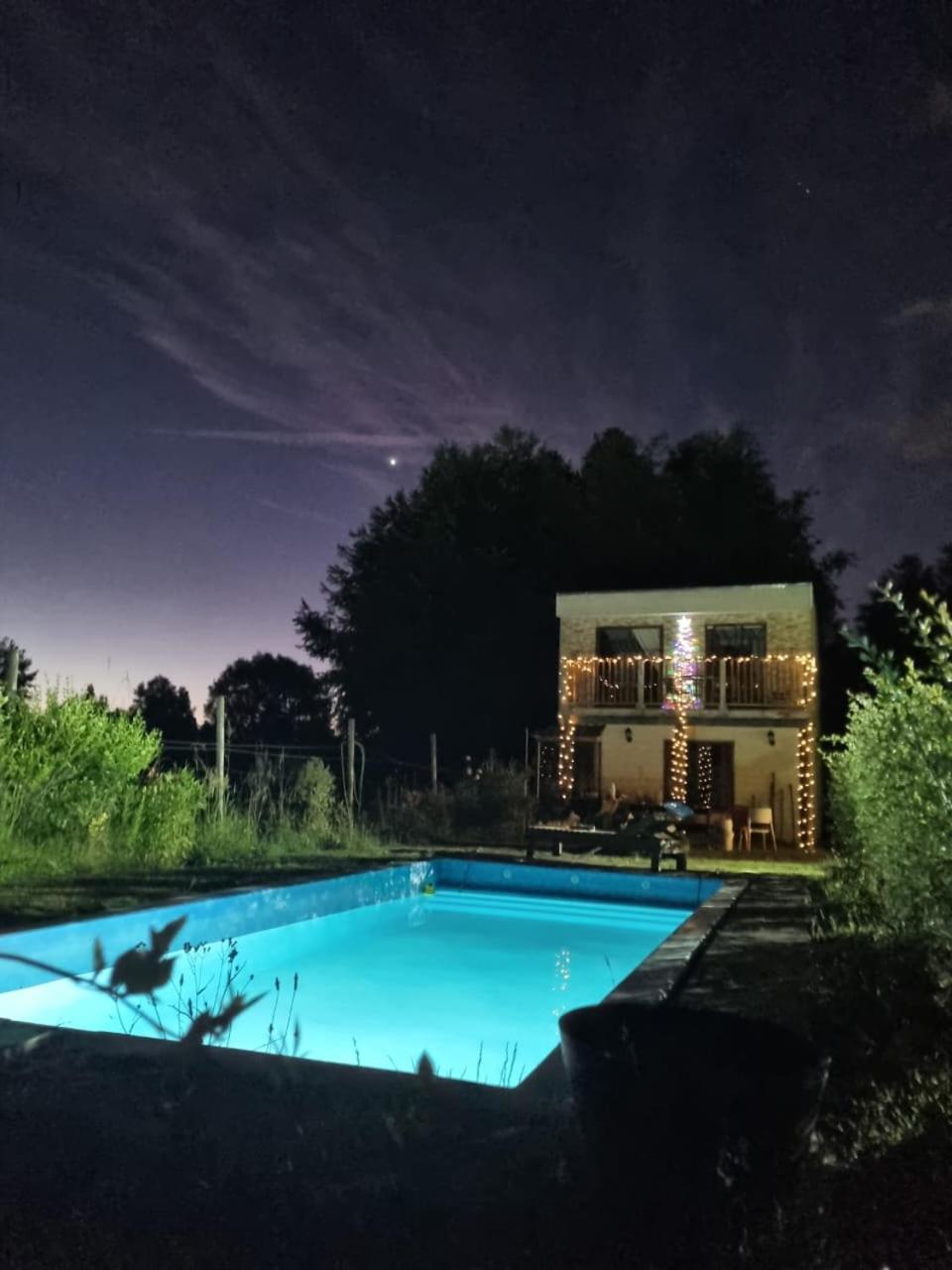 Con Vista Al Volcan Y Piscina * Villarrica
